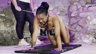 Dominatrix Mistress April – Get Fit Rose Part 1