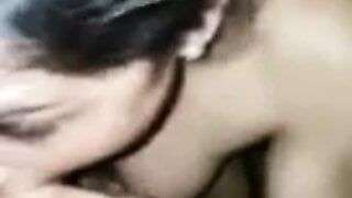 Pakistani girl sucking bf cook