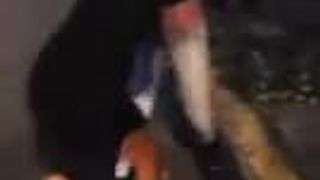 Puerto Rican Catfight