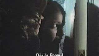 Swedish Classic Vintage