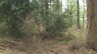 british girl do dogging 1