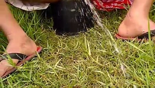 peesing in paddy fields