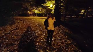 She flashing tits and undresses in a public park at night