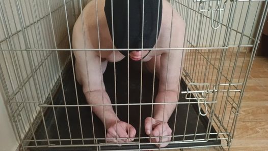 Your place is in the cage if I’m not fucking your ass. Femdom pegging fetish