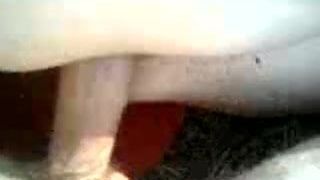 Igor bukovski buko bananama