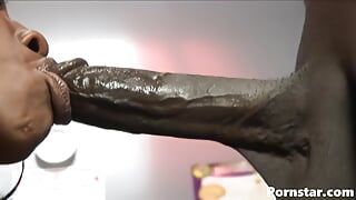 Big Black Dick Fucking Black Pussy Girl Daniesha