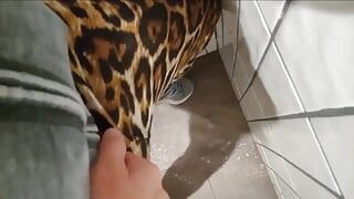 I Was Horny All Day so Whizzed Out a Quick Orgasm in a Restaurant Bathroom
