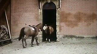 Vintage French Adultery