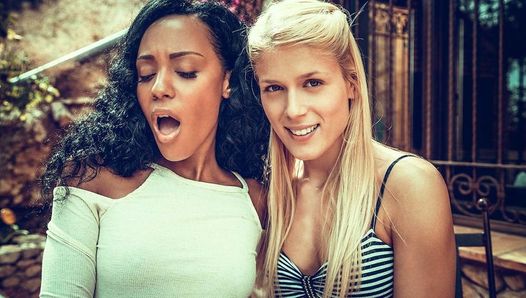 Sweet Cat sits on Noe Milk’s face