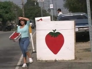 Misty Mendez DP fucked in a van