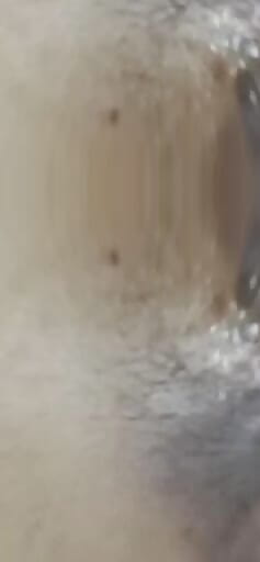 The heat of native choo