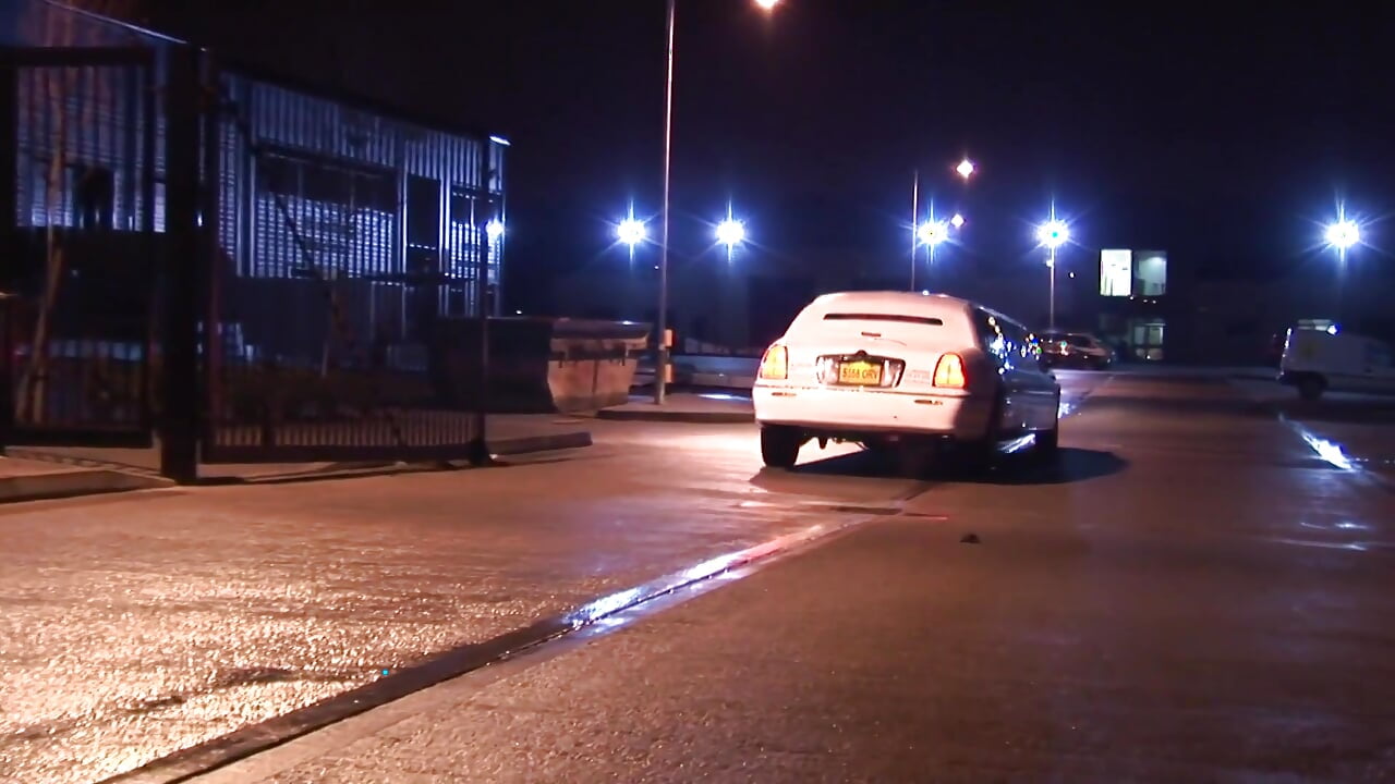 Two sexy whores share one hard pole on the back seat of the car