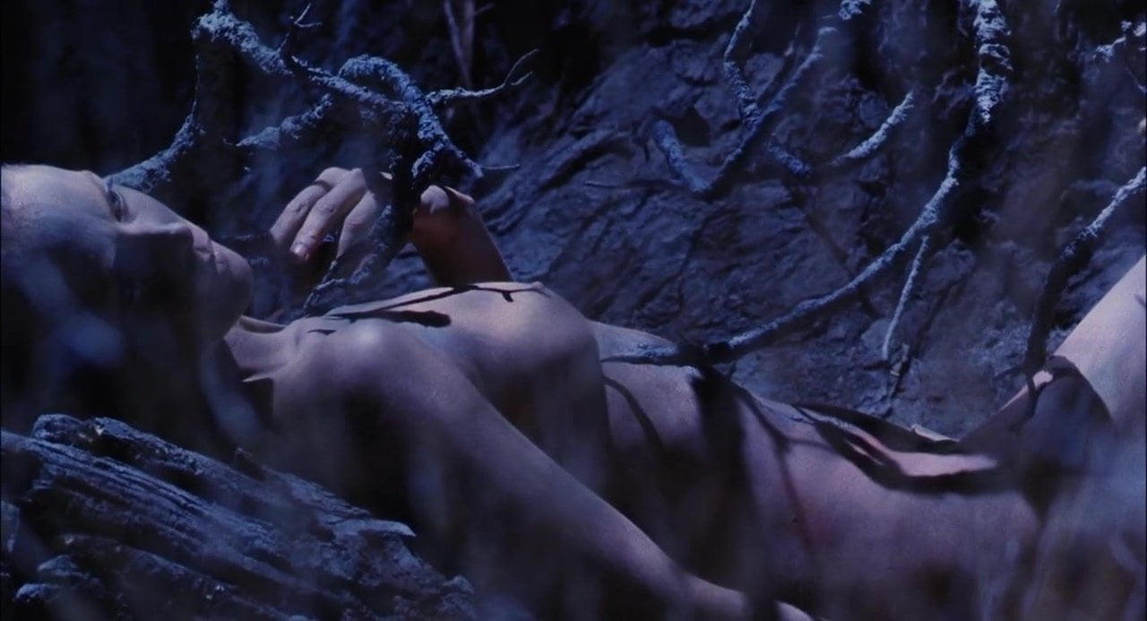 Jenny Seagrove – The Guardian