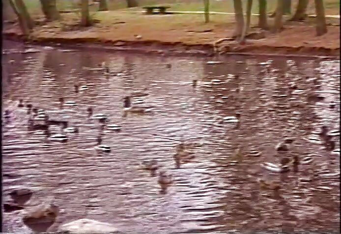 secretary works overtime with fat dildo in boss’s pussy