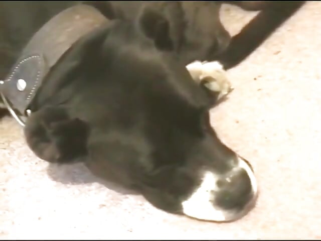 Tt022 – teeny passion